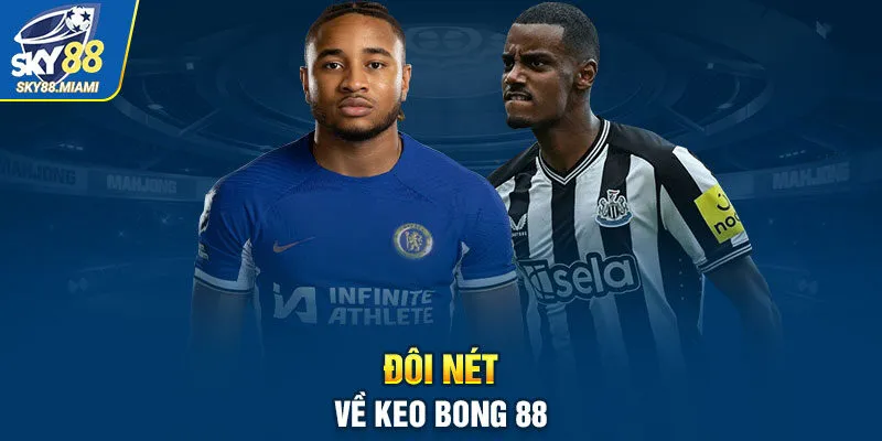 Đôi nét về keo bong 88