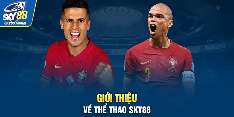 Giới thiệu về thể thao SKY88