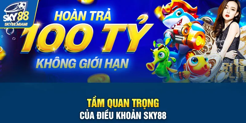 Tầm quan trọng của điều khoản Sky88